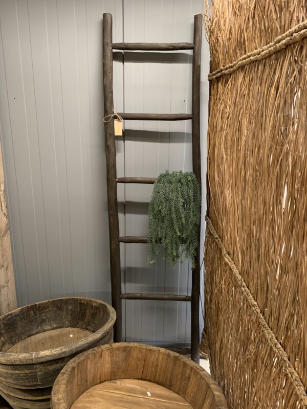 Sierladder Groot