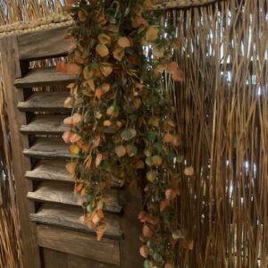 Vetplant Hanger Groen/Bruin 77cm