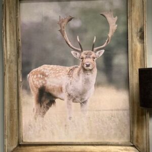 Wanddecoratie 'hert' L