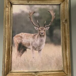 Wanddecoratie 'hert' S