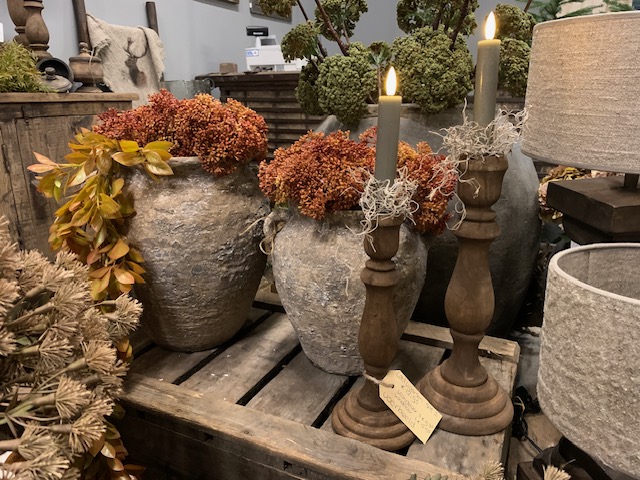 Countryfield Achillea Bosje Oranje - Afbeelding 3