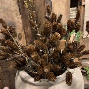 Dennenappeltak Bruin