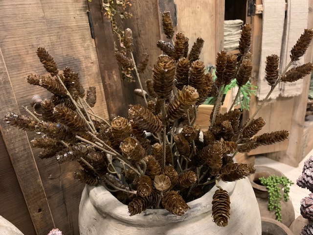 Dennenappeltak Bruin