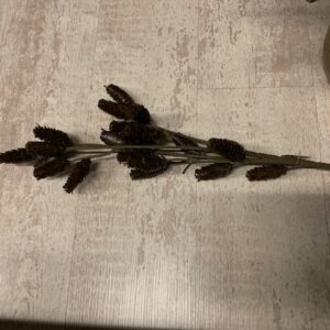 Alternative view of Dennenappeltak Bruin