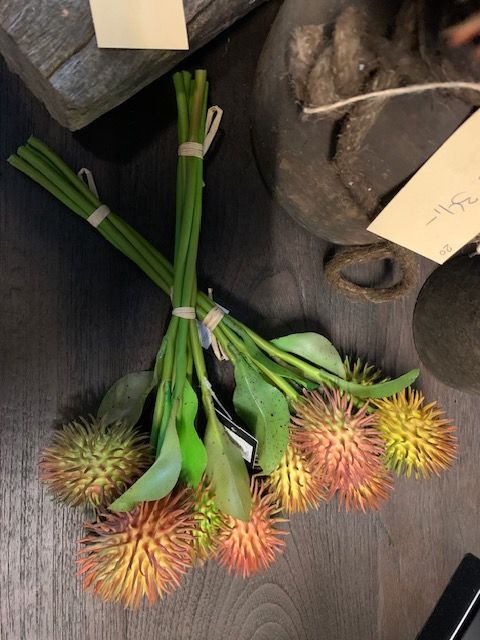 Alternative view of Distel Real Touch Oranje/Groen