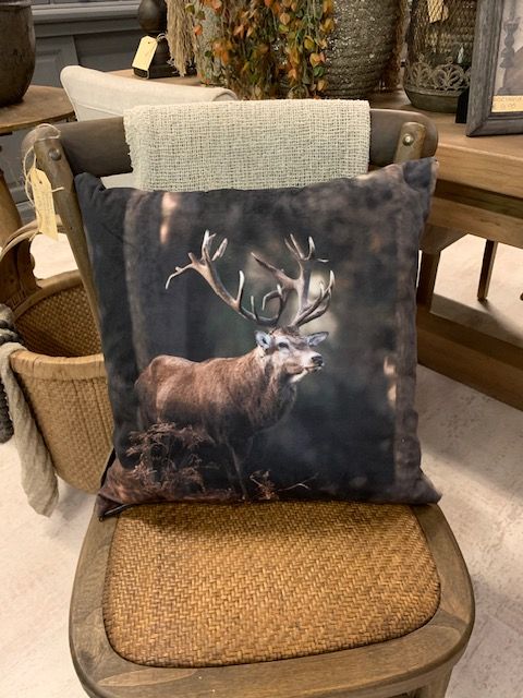 Kussen Velours "Rendier'