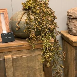 Eucalyptus Hanger Bruin 110cm
