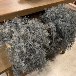 Alternative view of Tillandsia Hanger Grijs