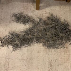 Tillandsia Hanger Grijs