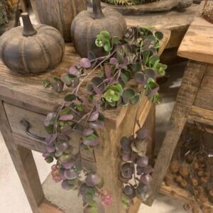 Eucalyptus Paars/Groen 80cm