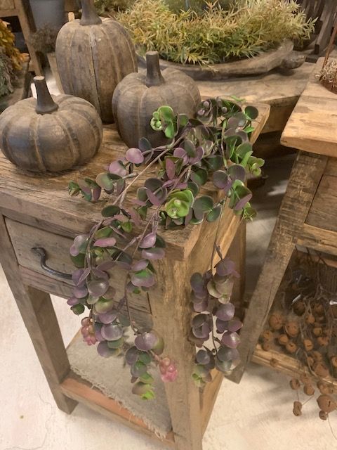 Eucalyptus Paars/Groen 80cm