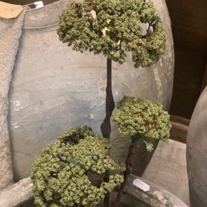 Brynxz Sedum Spray Groen 86cm