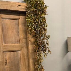 Alternative view of Eucalyptus Hanger Bruin 110cm