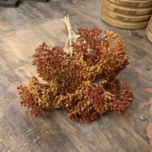 Countryfield Achillea Bosje Oranje