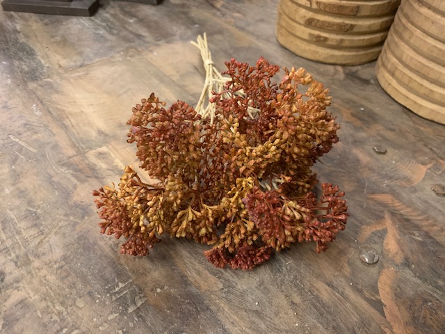 Countryfield Achillea Bosje Oranje