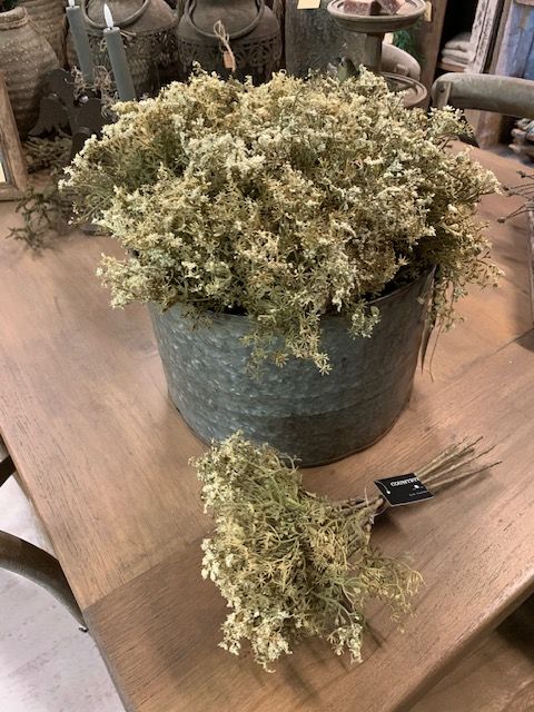 Gedroogd Gipskruid Kunsttakjes Wit 30cm