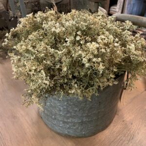 Alternative view of Gedroogd Gipskruid Kunsttakjes Wit 30cm