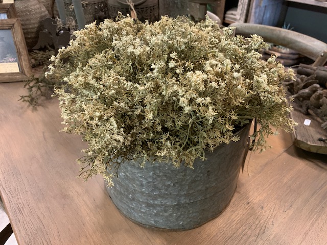 Gedroogd Gipskruid Kunsttakjes Wit 30cm - Afbeelding 2