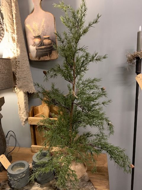 Lariks Boompje Met Dennenappels 90cm