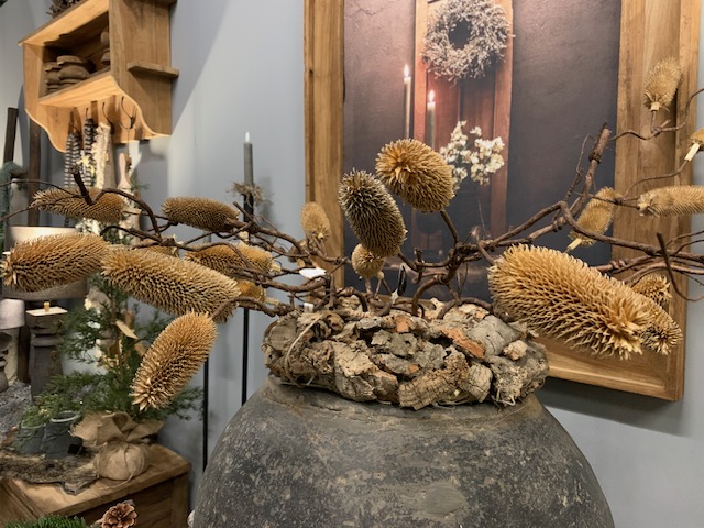 Kaardebol Tak 80cm - Afbeelding 2