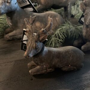 Hert Bogart Liggend Countryfield S