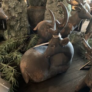 Hert Bogart Slapend Countryfield