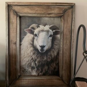 Wandbordje Schaap 30x40