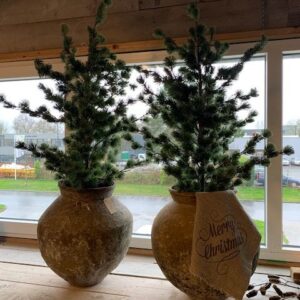 Alternative view of Oude Waterkruiken XL