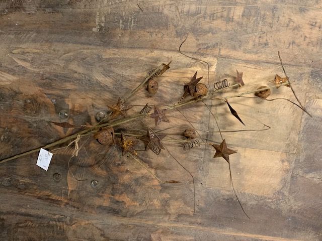 Roest Ster/Bellentak 60cm