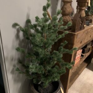 Alternative view of Lariks Boom M 120cm