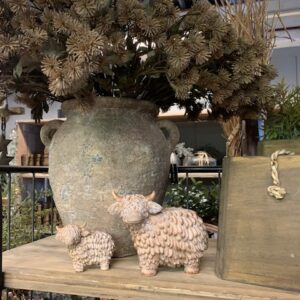 Alternative view of Hooglander 'Buffy' S