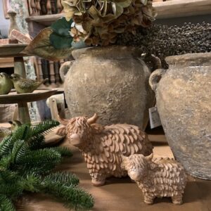 Hooglander 'Buffy' L