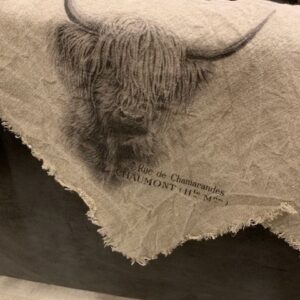 Shabbydoek Hooglander