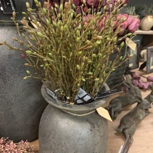 Alternative view of Tilia Tak Groen Lang 56cm