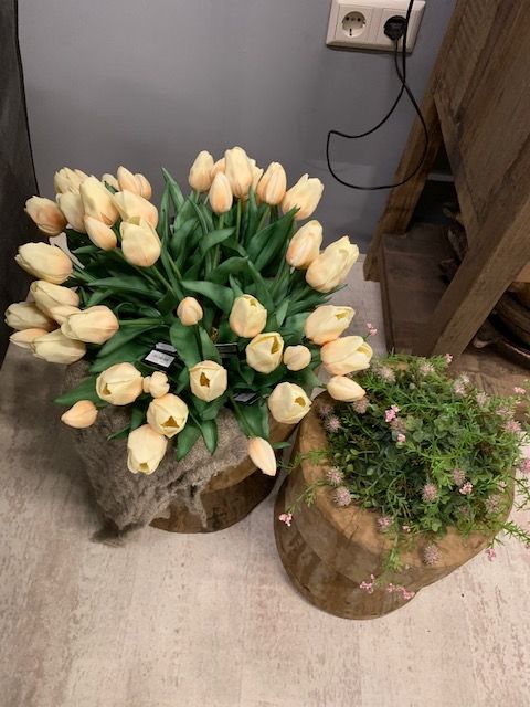 Real Touch Tulpen Creme Kort 30cm 5 Stelen - Afbeelding 3