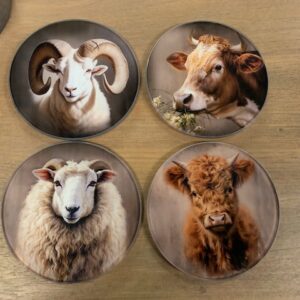 Onderzetters Glas Ram