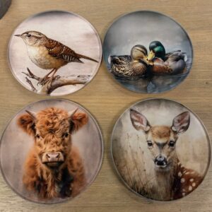 Onderzetters Glas Vogel