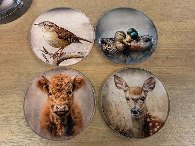 Onderzetters Glas Vogel