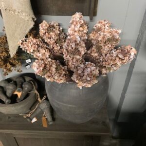 Alternative view of Hydrangea pan. Brown Ivory 65cm