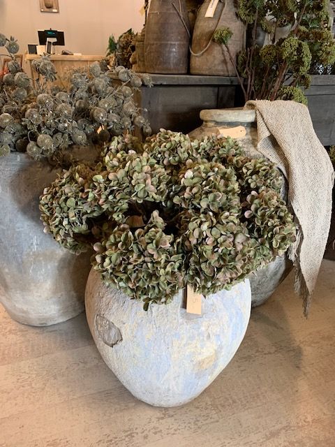 Hydrangea macr. Green 65cm - Afbeelding 3