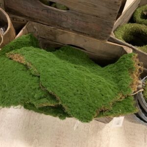 Kunst Mos Mat Groen