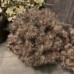 Alternative view of Deco Bol Taxaxacum Bruin L