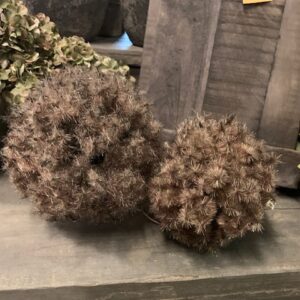 Deco Bol Taxaxacum Bruin L