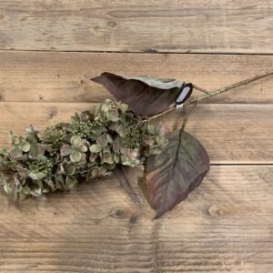 Hydrangea pan. Green 65cm