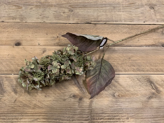 Hydrangea pan. Green 65cm