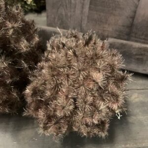 Alternative view of Deco Bol Taxaxacum Bruin S