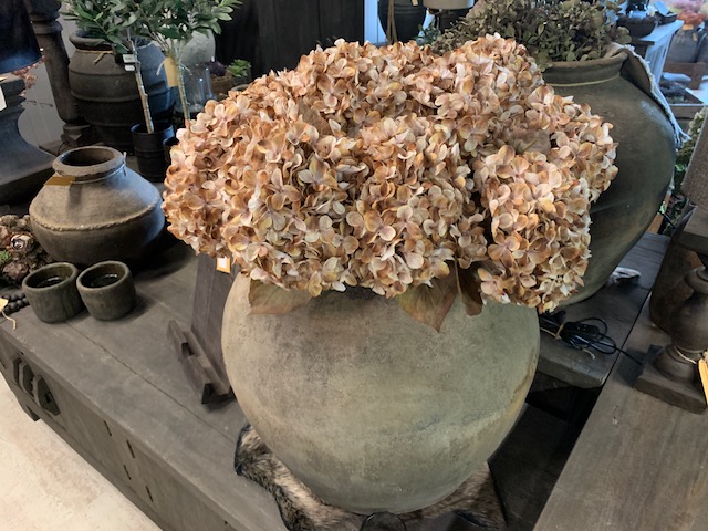 Hydrangea macr. Brown 65cm - Afbeelding 3